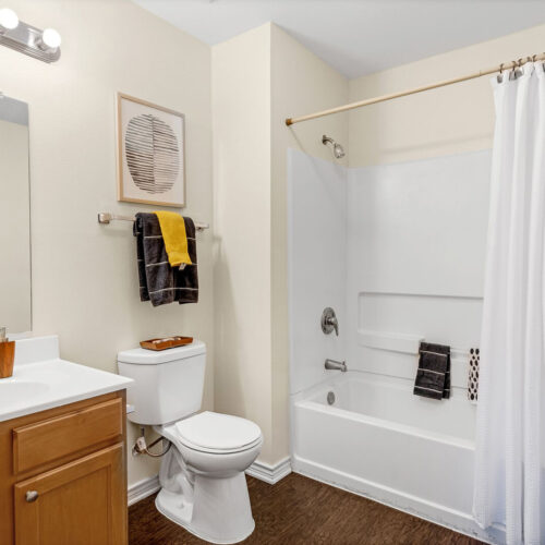 Private bathroom with bathtub and vanity in a student apartment at The Overlook Nacogdoches TX